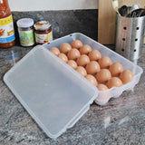Eierdoos van 18 eieren, (2x18) Transparante